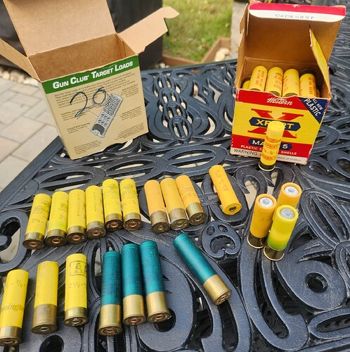 20 ga