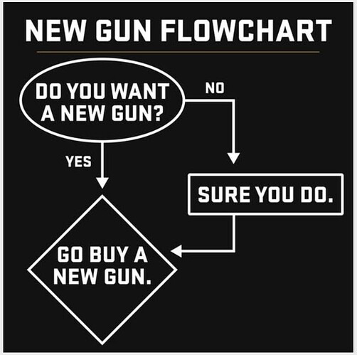 New Gun