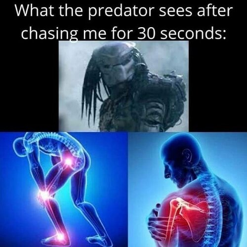 what-does-the-predator-see-2196591231