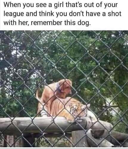Out of your league