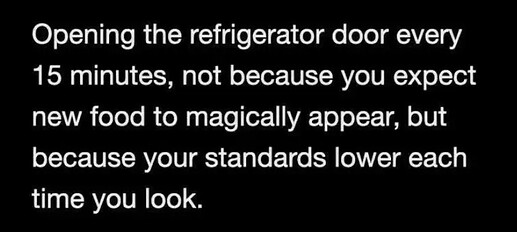 fridge-sl5ny99