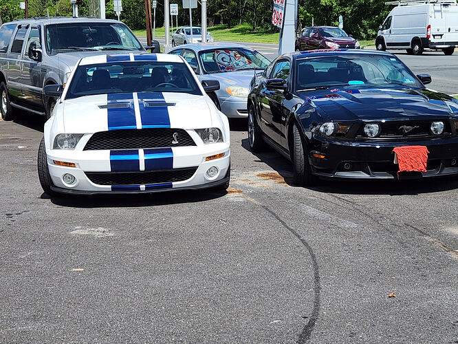 stangs