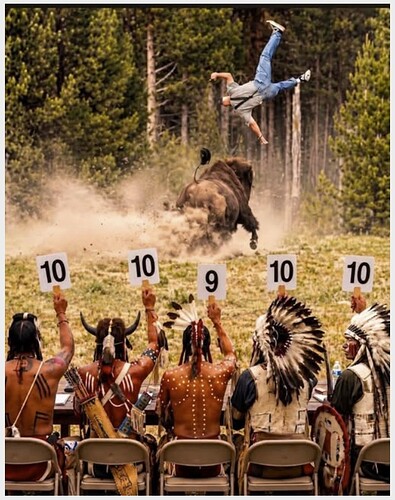 Bison Flip
