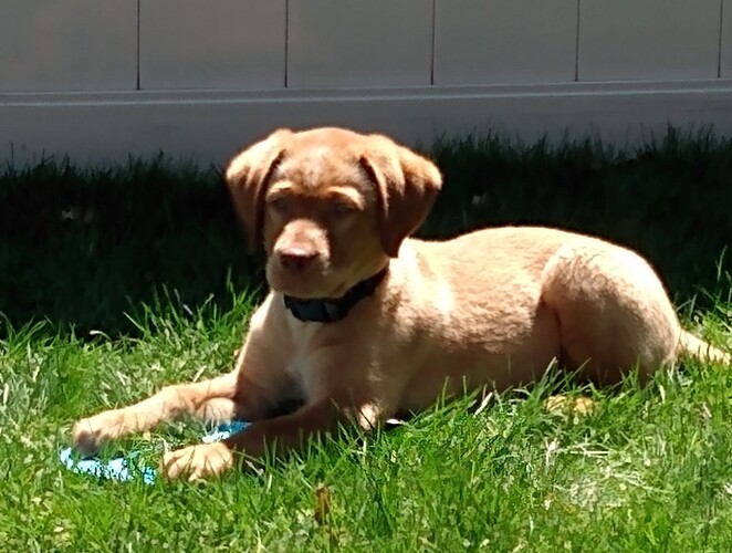 Samson5