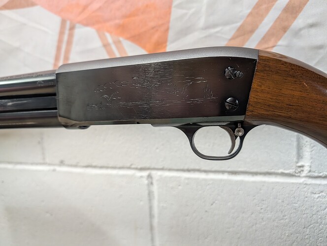 PXL_20250930_225228406