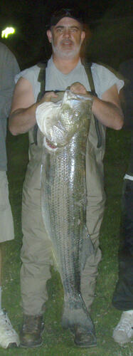 My Fish