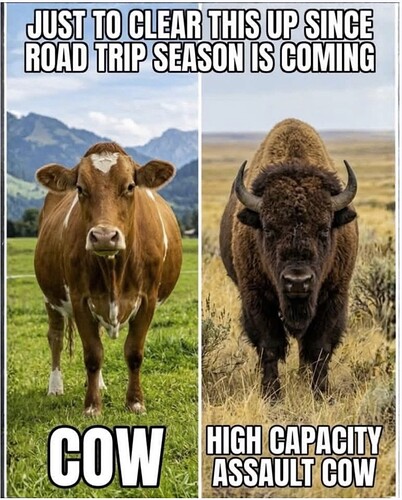 Assult cow