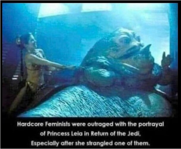 Princess leia feminist