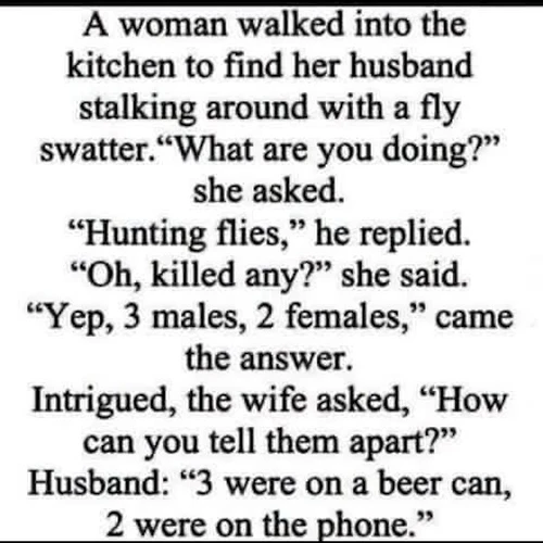 FlyHunt