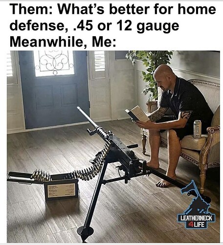 Home defence