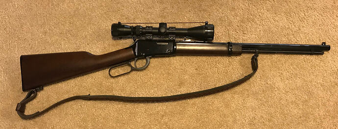 Henry .22